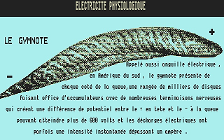 Électricité atari screenshot